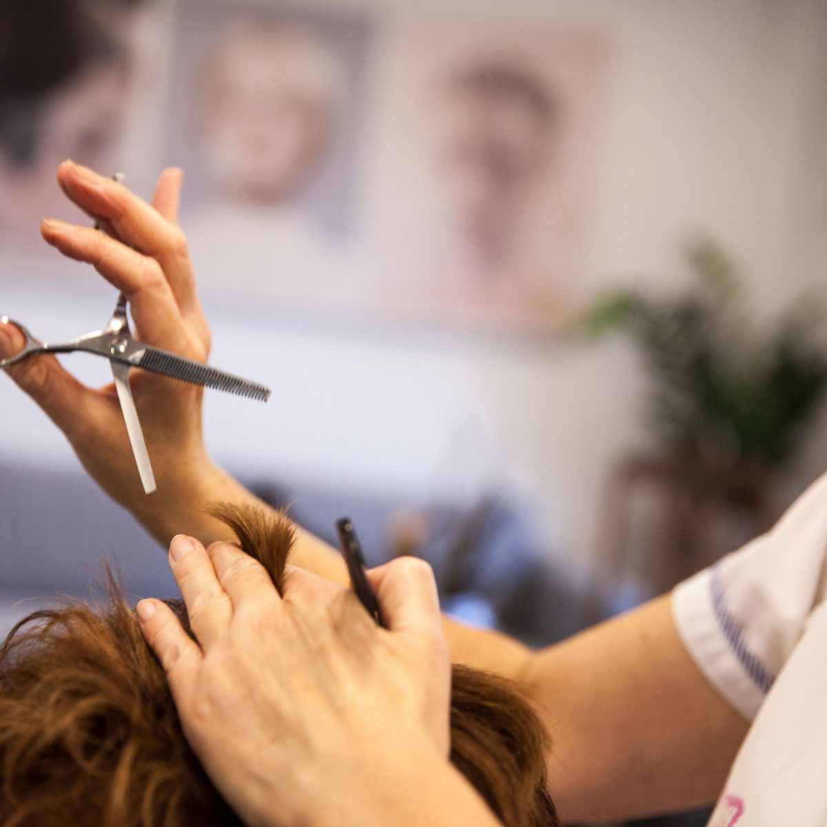 Nahaufnahme: Haare werden mit der Schere geschnitten